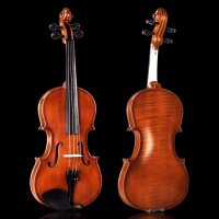 Aileen 3/4 Violin Set for Beginners with Bow and Blue Case, Violin in Case, Ideal for Beginners