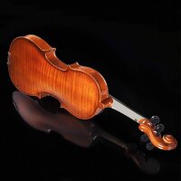 Aileen 3/4 Violin Set for Beginners with Bow and Blue Case, Violin in Case, Ideal for Beginners