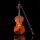 Aileen 3/4 Violin Set for Beginners with Bow and Blue Case, Violin in Case, Ideal for Beginners