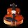 Aileen 3/4 Violin Set for Beginners with Bow and Blue Case, Violin in Case, Ideal for Beginners