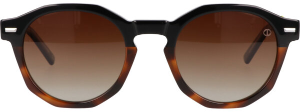 Davidoff DAPS123-01 Unisex Sunglasses, 51mm lens, 22mm bridge, 145mm temples, polarized, brown tinted, round brown transparent frame