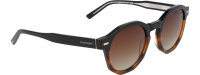 Davidoff DAPS123-01 Unisex Sunglasses, 51mm lens, 22mm bridge, 145mm temples, polarized, brown tinted, round brown transparent frame