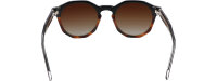 Davidoff DAPS123-01 Unisex Sunglasses, 51mm lens, 22mm bridge, 145mm temples, polarized, brown tinted, round brown transparent frame