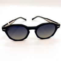 Davidoff DAPS13-02 Mens Sunglasses, 51mm lens, 22mm bridge, 45mm temples, polarized blue/grey gradient lenses, blue plastic frame