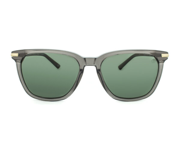Davidoff DAPS111-02 mens sunglasses, square grey-gold frame, green lenses, 54 mm lens width, 17 mm bridge width, 145 mm temple length