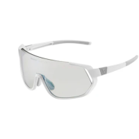 Giant Agos FotoVis Mens Sports Glasses, self-tinting,...