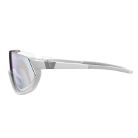 Giant Agos FotoVis Mens Sports Glasses, self-tinting, UV400, category 1-4, 31g, incl. spare lens & case