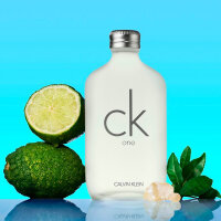Calvin Klein CK One Eau de Toilette 300 ml Unisex Perfume, grey packaging, fresh scent