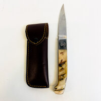 Saddi Outdoor-Klappmesser, helle Griffschale, inklusive...