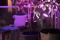 Philips Hue Lily Outdoor Spot Base 3-pack, LED, 3x8W, 640lm, 2000–5000K, dimmable, 16 million colors, IP65, incl. power supply, extension cable, black