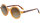 Etnia Barcelona 5 SAGRER 48S OG womens glasses, 48mm lens width, honey-orange transparent frame, Havana-colored temples, brown gradient lenses