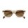 Etnia Barcelona PALA2 womens glasses, 48 ​​mm lens width, transparent grey-beige frame, gold details, brown gradient lenses