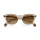 Etnia Barcelona PALA2 womens glasses, 48 ​​mm lens width, transparent grey-beige frame, gold details, brown gradient lenses