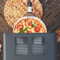 Cecotec Txuletaco 8000 Inferno Electric Grill, 850°C High-Temperature Steak Grill, Grill Rack, Black