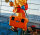 YETI LoadOut GoBox 30 King Crab Orange, robust equipment case, waterproof transport box for accessories, versatile use