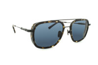 Davidoff DAPS119-02 Unisex Sunglasses, Titanium,...