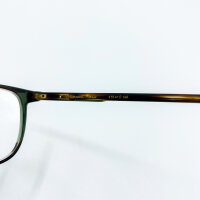 Etnia 5 DANIEL 550 HVGR Mens glasses, rectangular full-rim frame, 55 mm lens width, transparent green-brown temples
