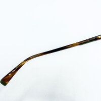Etnia 5 DANIEL 550 HVGR Mens glasses, rectangular full-rim frame, 55 mm lens width, transparent green-brown temples