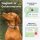 Tractive DOG GPS Tracker Braun, GPS-Tracker für Hunde, Live-Ortung, Echtzeit-Tracking, Weglaufalarm, Vitalwerte, wasserdicht