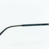 Davidoff DAPS104-03 sunglasses, 52mm lenses, 18mm bridge, 145mm temples, brown gradient lenses