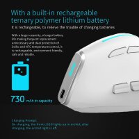 Zelotes F-36, wireless 2.4G mouse, ergonomic, 3-way adjustable DPI, bionic scroll wheel, USB plug & play, white