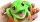 Keycraft Frog Sensor Ball, 12-pack, fidgety frog, various designs, sensory toy