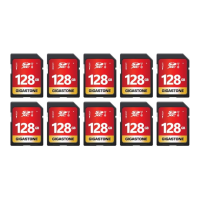 Gigastone 128GB SDXC memory card 10-pack, UHS-I U1 Class...