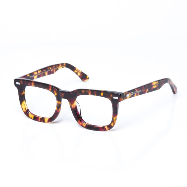 HARDEM Lyon C2 unisex glasses, lens size 47mm, bridge 22mm, temple length 145mm, fashionable design