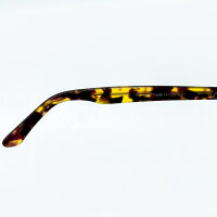 HARDEM Lyon C2 unisex glasses, lens size 47mm, bridge 22mm, temple length 145mm, fashionable design