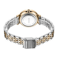 Burker Ruby Petite womens wristwatch, model RPBGSS, stainless steel case, black dial, gold accents, silver mesh strap