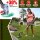 YY-GCJ00 Cordless Grass Trimmer 12V 98VF, Telescopic, Lawn Edger, Brush Cutter Set, Adjustable, Cordless