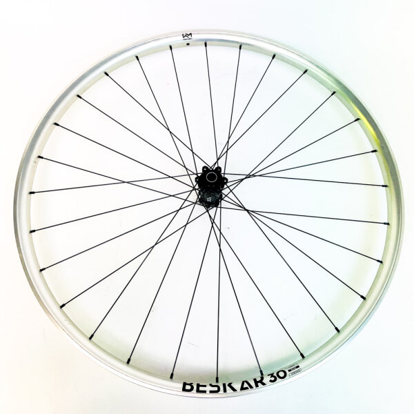 Newmen Beskar 30 Base 29", 28 hole, bicycle wheel, Fade SP 6B, 15x110 mm, silver, model 76682