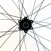 Newmen Beskar 30 Base 29", 28 hole, bicycle wheel,...