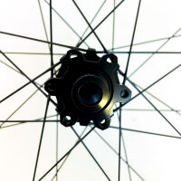 Newmen Beskar 30 DH 29" rear wheel, 32 hole, Fade SP...