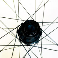 Newmen Beskar 30 DH 29" rear wheel, 32 hole, Fade SP 6B, 12x157 mm, silver, MTB wheel, model 76685