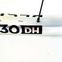 Newmen Beskar 30 DH 29" rear wheel, 32 hole, Fade SP 6B, 12x157 mm, silver, MTB wheel, model 76685