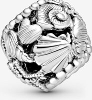 Pandora 798950C00 Charm, Travel and Hobby Kollektion, Sterling Silber, detailreiches Design