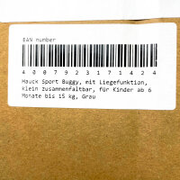 Hauck 171424 Buggy, leicht, bis 15 kg, Liegefunktion ab Geburt, kompakt faltbar, Sonnenverdeck, großer Korb, 5-Punkt-Gurt, Kunststoffräder