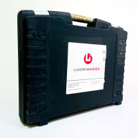 LudwigHook LH60A Funk-Lastenhaken-Set, 2-teilig, 25–2000 kg Tragkraft, inkl. Fernbedienung, Rot/Blau