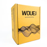 WOUEJ-W3 Wallbox EV-Ladestation 32A Type 2, 7 kW, 5 m Kabel, LCD, RFID, App WiFi/BT, IP66, CE/TÜV, All EVs