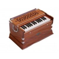 RAGA Standard Classic Cherry, Harmonium, mit Tastatur,...