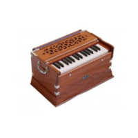 RAGA Standard Classic Cherry, Harmonium, mit Tastatur,...