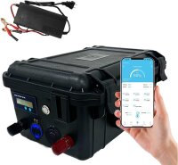 LiFePO4 SJY12 12V 100Ah Lithium Battery with Bluetooth...