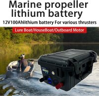 LiFePO4 SJY12 12V 100Ah Lithium Battery with Bluetooth and Charger, 100A