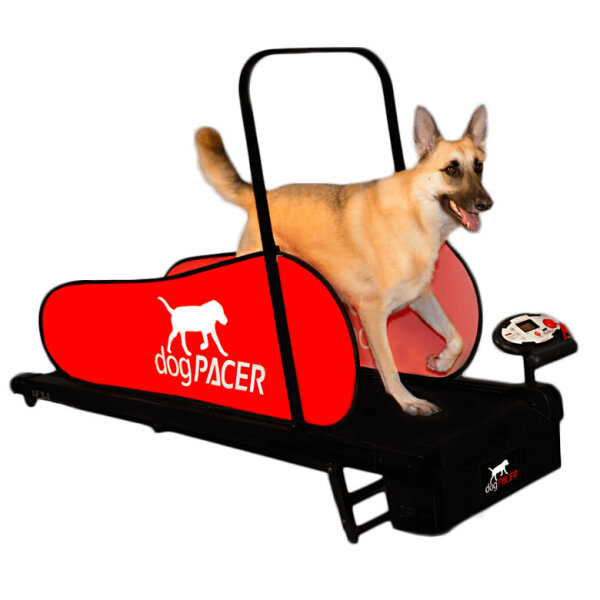 dogPACER LF 3.1 Dog Treadmill, Black