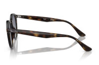 Ray-Ban RB2180 710/4L Sunglasses Light Havana, lens 49 mm, bridge 21 mm, temples 145 mm, 2N