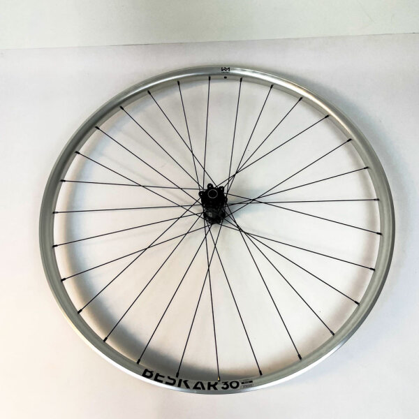 Newmen Beskar 30 strong 29" 6-Loch 12x148 FADE Silver LTD Hinterrad, 76662, 622-30TC