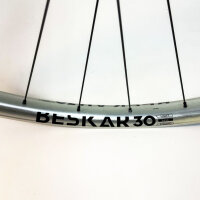 Newmen Beskar 30 strong 29" 6-Loch 12x148 FADE Silver LTD Hinterrad, 76662, 622-30TC