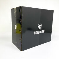 BEASTCOM Q3-K015 Gaming-PC, 8 GB/1 TB, Ryzen 5 3400G, Radeon Vega 11, ohne Zubehör