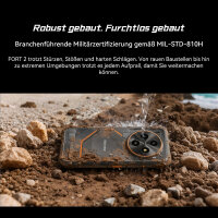 Blackview FORT 2 Smartphone, 6,56 Zoll, 8+16 GB RAM/256 GB, 5000 mAh, 13MP Front, 16MP Rear, NFC, Schwarz